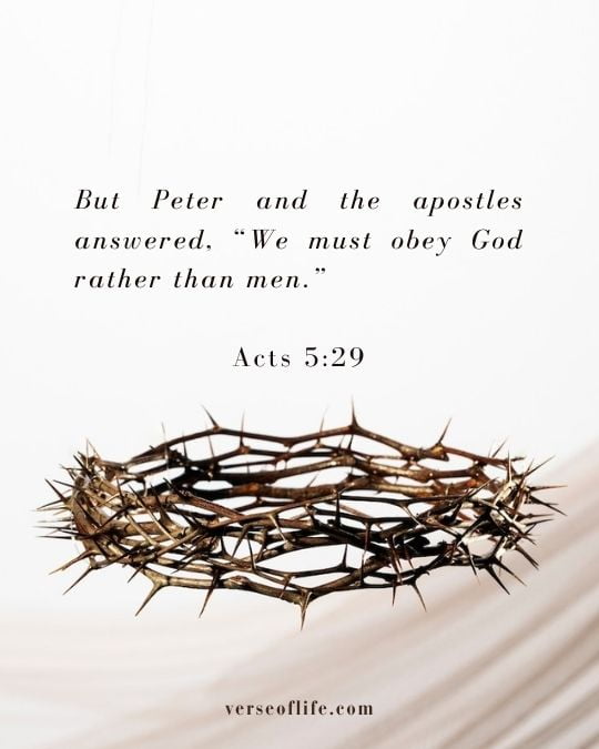 Acts 5_29 Bible verse for Authorities