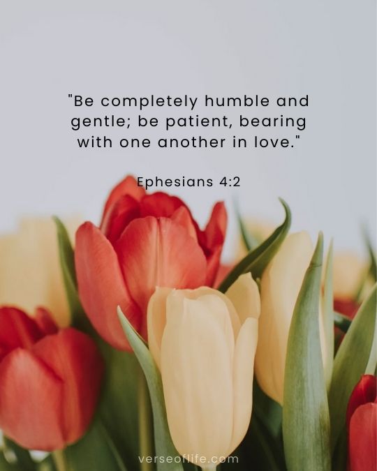 Ephesians 4_2 in 100 timeless bible verses