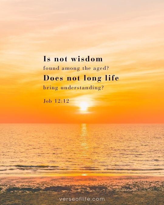 Job 12_12 Bible verses for when we grow older