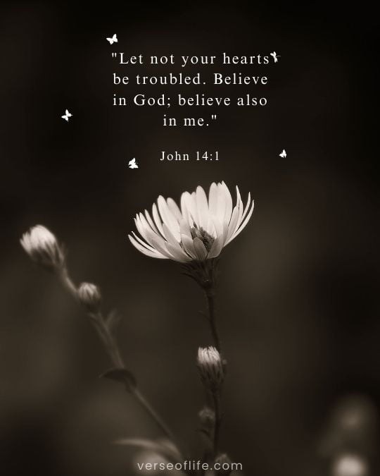 John 14_1 in 60 Comforting Bible Verses for a Grieving Heart