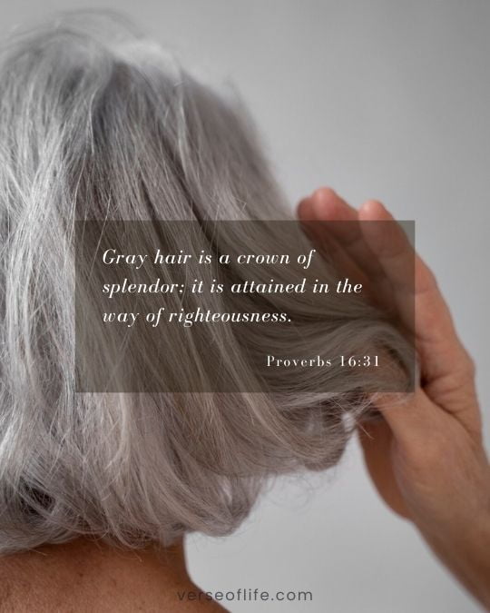 Proverbs 16_31 Bible verses when we age