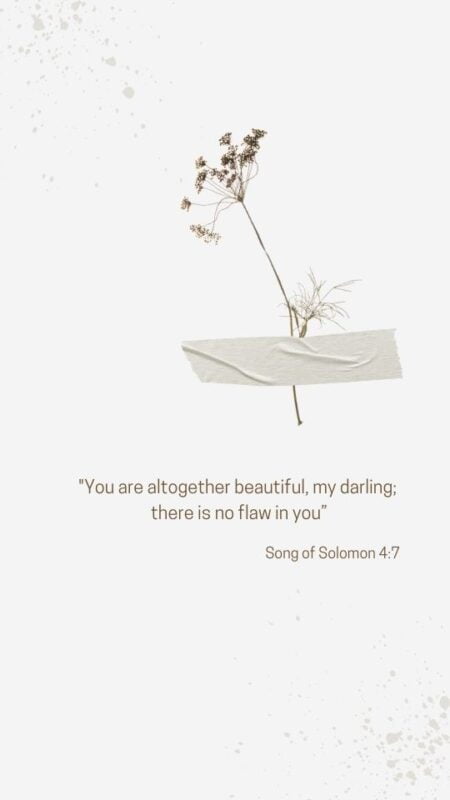 20 phone background bible verses Song of Solomon 4_7