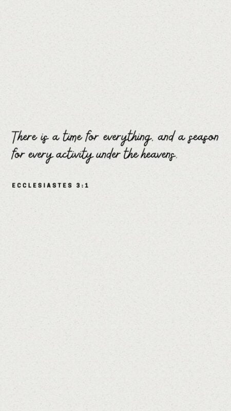 Ecclesiastes 3 1 20 phone background bible verses 1