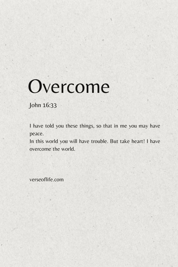 John 16 33 Minimalist Bible verse