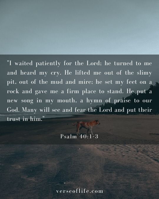 Psalm 40_1-3 45 Beautiful Psalms Verses