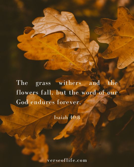 Isaiah 40_8 20 Beautiful Autumn Bible Verses to Inspire Your Faith