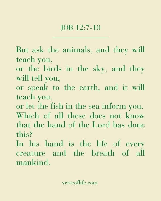 Job 12_7-10 60 Inspiring Beauty of the Earth Bible Verses