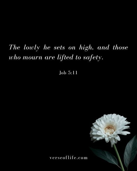 Job 5_11 Best Bible Verses for Losing a Loved One_ Finding Comfort in Scripture