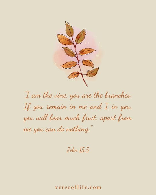 John 15_5 20 Beautiful Autumn Bible Verses to Inspire Your Faith