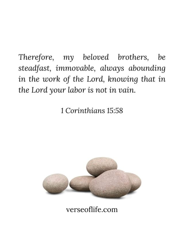 1 Corinthians 15_58 Bible Verses About Exam Success