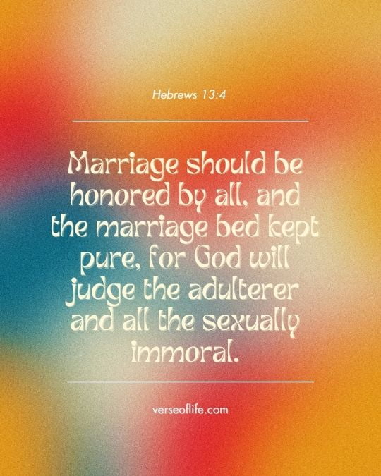 Hebrews 13:4 Bible Verses About Homosexuality