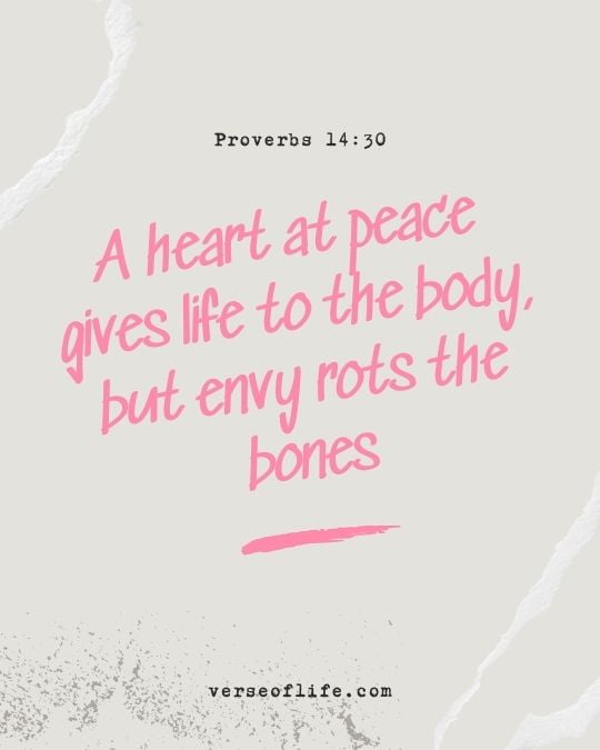 Proverbs 14_30 Powerful Bible Verses About Peace