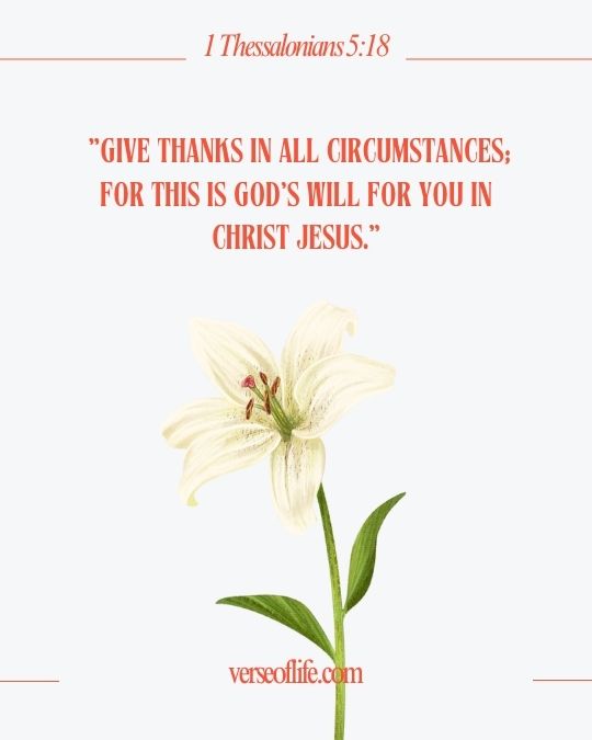 1 Thessalonians 5_18 Powerful Bible Verses About Gratitude